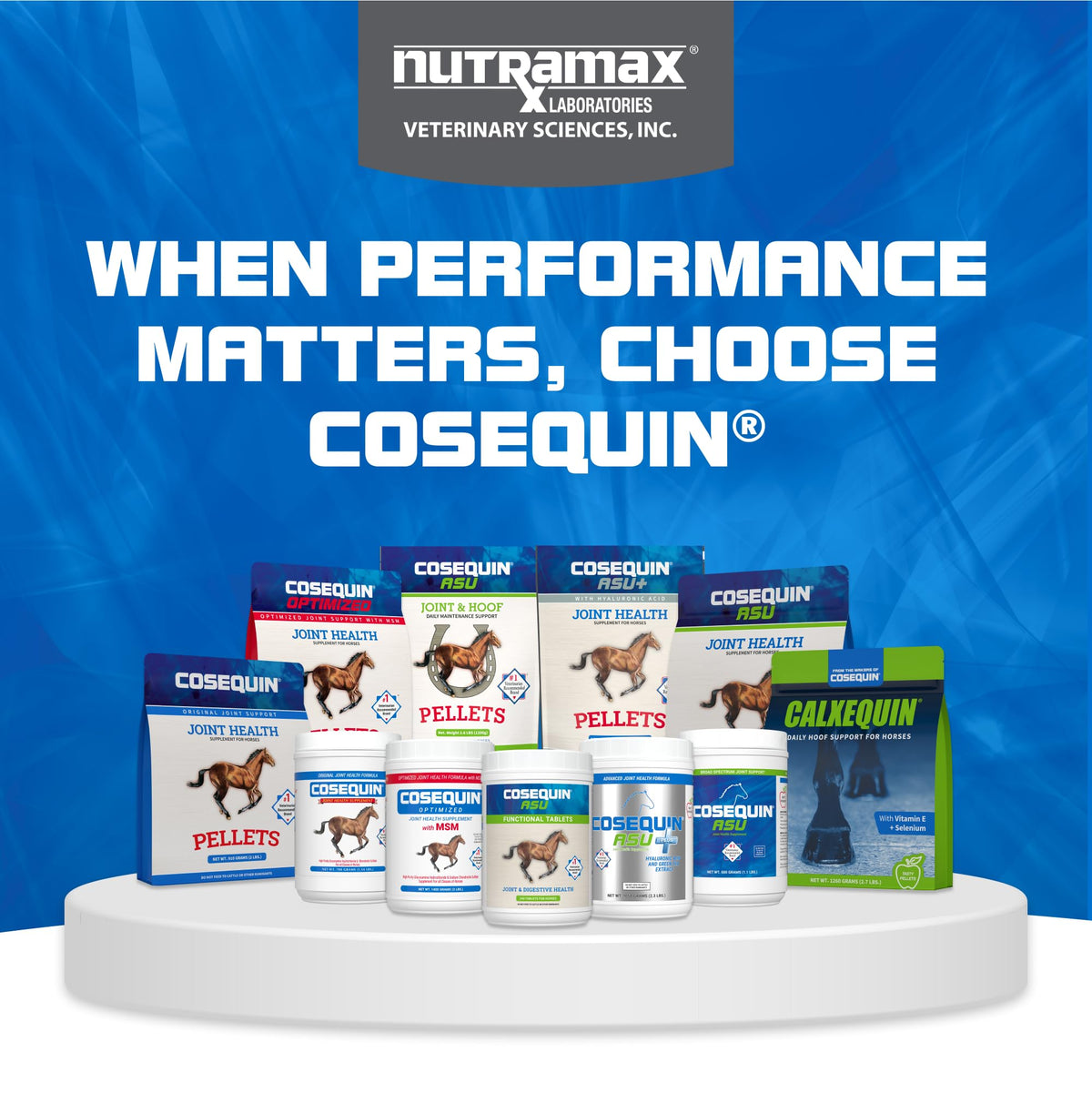 Nutramax Cosequin ASU Plus Joint Supplement for Horses (Pellet)