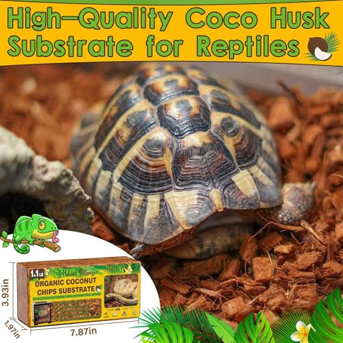 6 Pack Coconut Husk for Reptiles (6 Pack)
