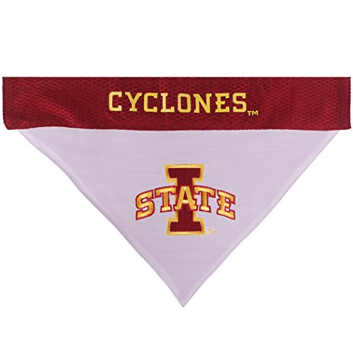 Collegiate Pet Accessories (Small/Medium / Iowa State Cyclones)
