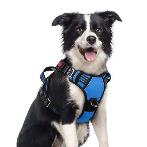 Dog Harness Medium Sized (Blue / Medium)