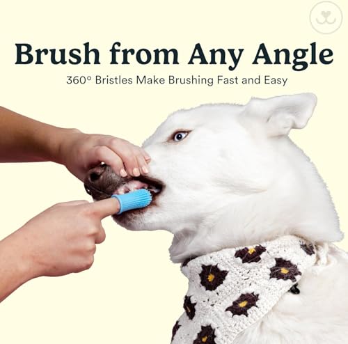 Dog Toothbrush (Clear (2-pack))