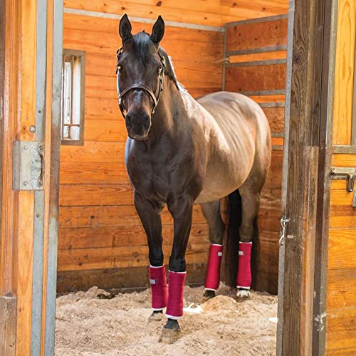 Standing Wraps for Horses (Royal)