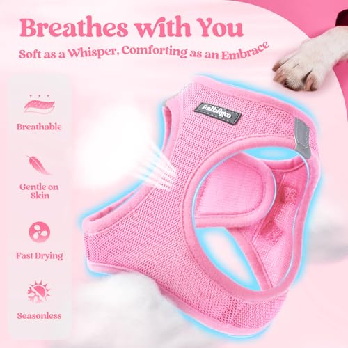 Dog Harness Medium Sized and Leash Set (Light Pink / Xxl (chest: 21.6 - 23.7"))