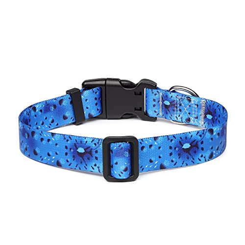 Adjustable Dog Collar (Extra Small / Blue Ocean)