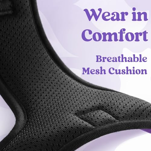Dog Harness Medium Sized (Medium / Purple)