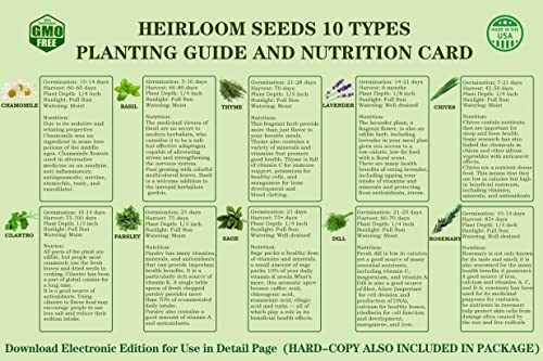 10 Herb Seeds Garden Starter Grow Kit with Green Pots (green)