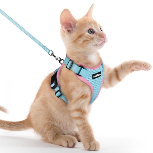 Cat Harness and Leash Set (Xxs / Light Blue & Pink)