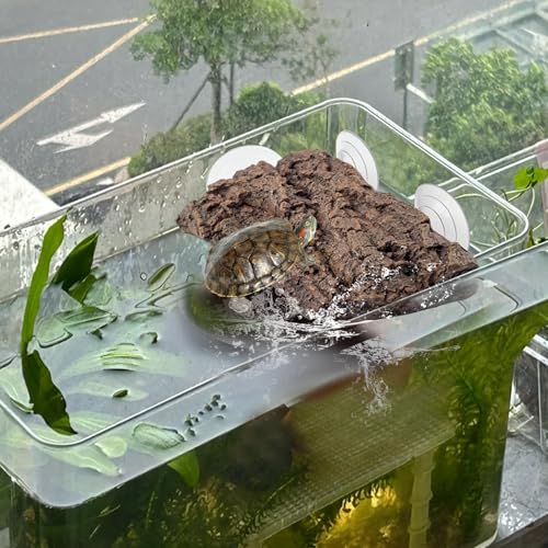 Turtle Basking Platform with Strong Suction Cups (Platform)