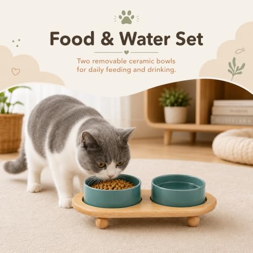 Raised Cat Bowl 5.1” Elevated Ceramic Cat Food and Water Bowl Set (Dark Green)