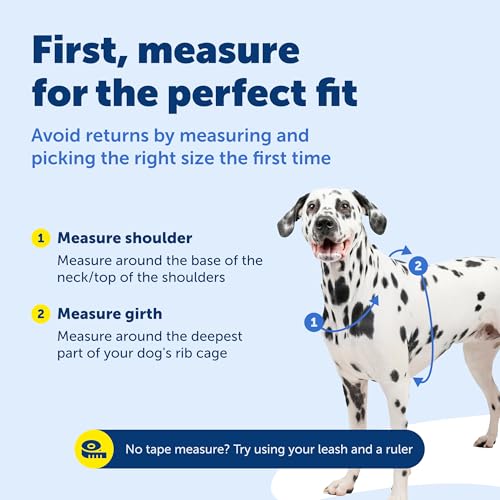 Easy Walk 3 in 1 No Pull Dog Harness (Plum / Large (Pack of 1))