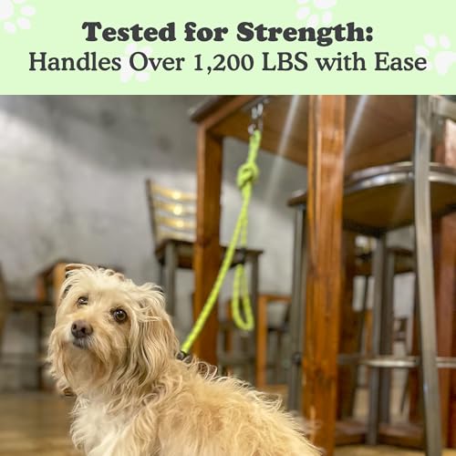 Canine Hitch Secure Dog Leash Parking Mounted Indoor (Slim/Compact (6 packs))