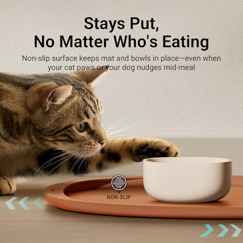 Cat Food Mat Silicone Waterproof Feeding Mat (18"L x 12.5"W / Coral)