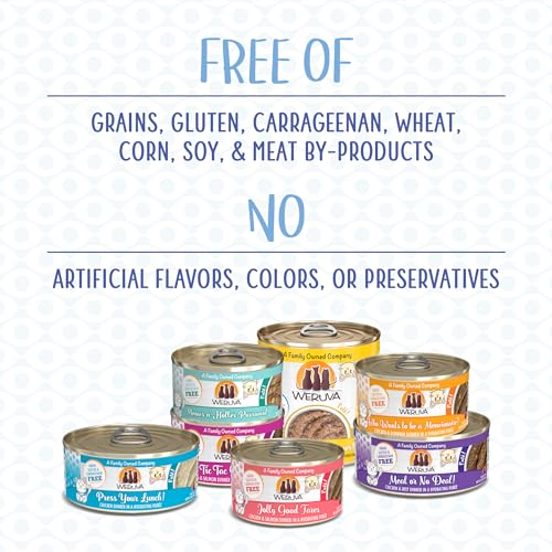 Wet Cat Food Jolly Good Fares with Chicken and Salmon Pate