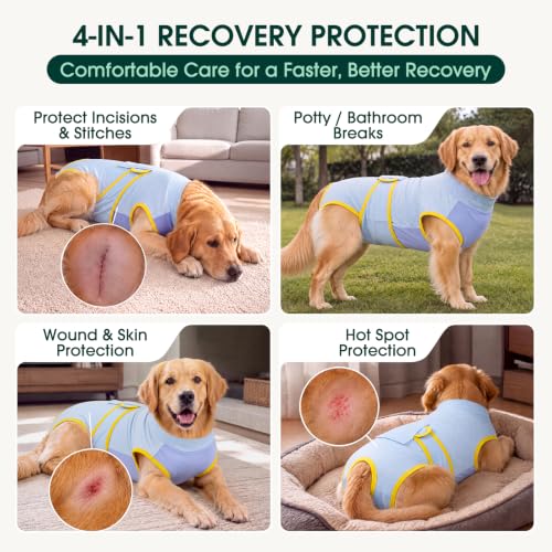 Recovery Suit for Dogs Cats (X-small (Back:8.3-11.4'', Weight:4-7 Lb) / Sky Zest)