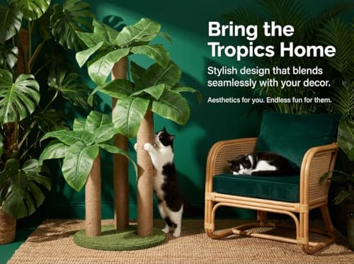 31.5Inch Cat Scratching Post