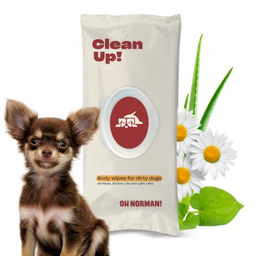 Clean Up Paw Wipes for Dogs
