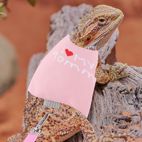 Small Animal Travel Backpack Carrier (Pink)