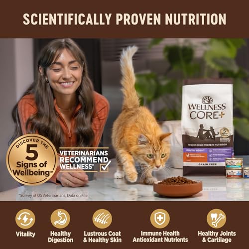 CORE+ Adult Dry Cat Food (11 Pound (Pack of 1))