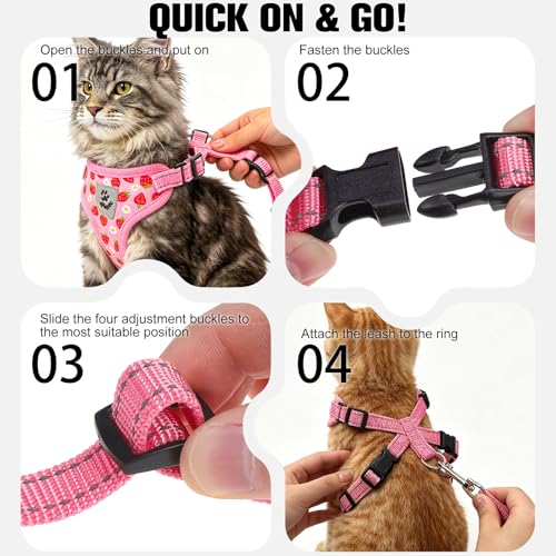 Escape Proof Cat Harness and Leash Set (Daisy / Small)