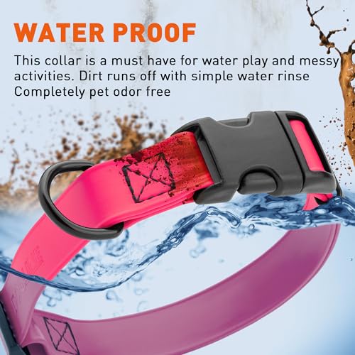 Biothane Waterproof Dog Collar with Quick Release Buckle Strong Coated Nylon Webbing with Odor (3/4"W by 12-19"L / Passionfruit Pink)