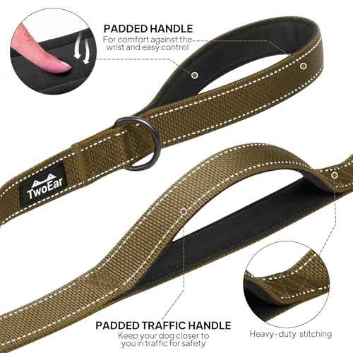 4FT 1IN Heavy Duty Dog Leash for Large Dogs with 2 Padded Handles (Brown / 1 in x 4 ft)