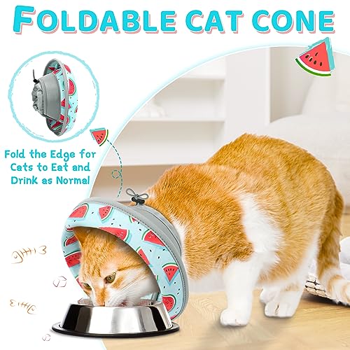 Cat Cone Collar Soft to Stop Licking (Blue / S)