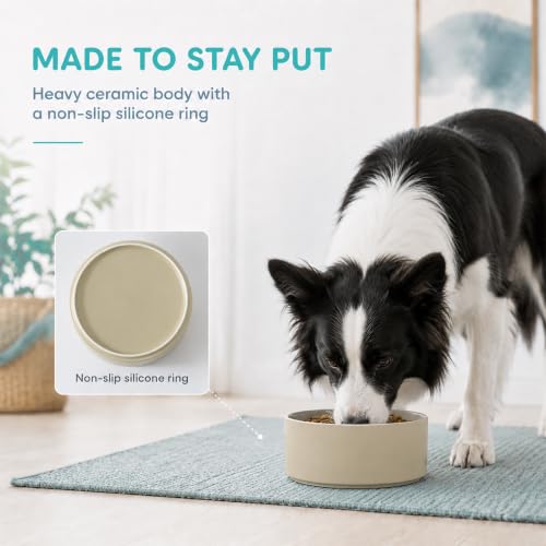 Ceramic Dog Bowls (Matte Khaki)