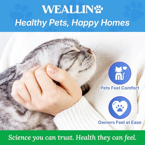 Flea and Tick Prevention for Large Cat