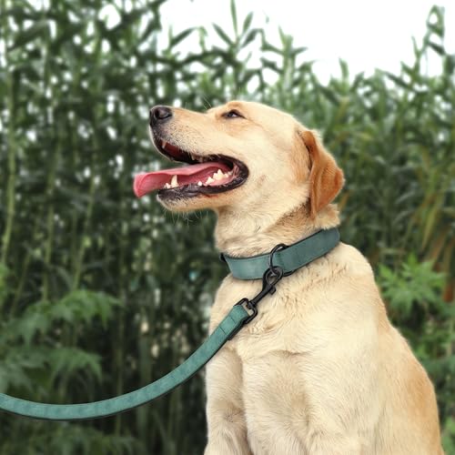 PU Leather Dog Collar and Leash Set (L: Neck 14-18", Width 1" / Green Set)