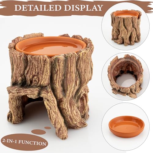 Reptile Hide Cave Resin