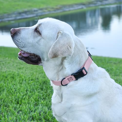 Biothane Waterproof Dog Collar with Quick Release Buckle Strong Coated Nylon Webbing with Odor (1"W by 15-25"L / Pastel Purple)