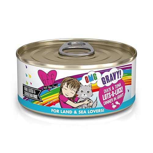 B.F.F. OMG Best Feline Friend Oh My Gravy! (5.5 Ounce (Pack of 8))