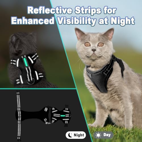 Cat Harness and Leash Set Escape Proof for Kitten Walking (Medium / Black)