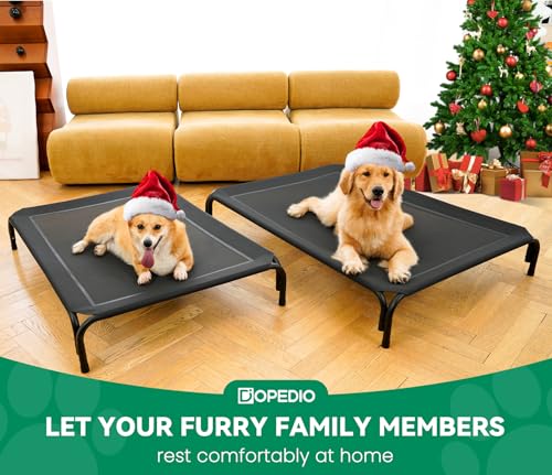 Elevated Dog Bed Raised Outdoor Dog Cot for Medium Dogs (M-35.4"L×25.6"W×7.9"Th / Black)