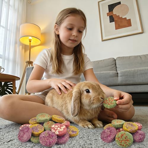 24Pcs Bunny Chew Toys (24 Count (Pack of 1))