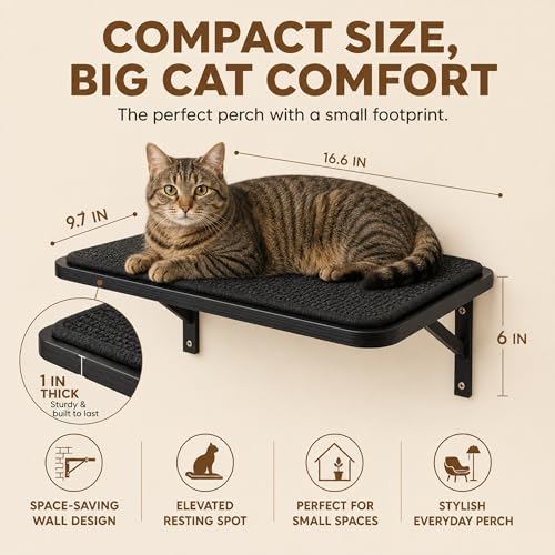 Cat Wall Shelves Set of 2 (2PCS Shelf with Black Sisal)
