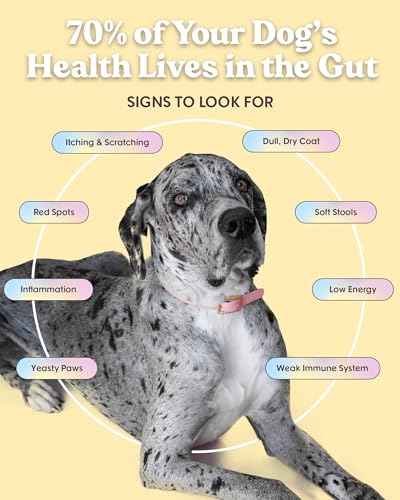 Chicken Probiotic Dry Dog Food (24 Pound)