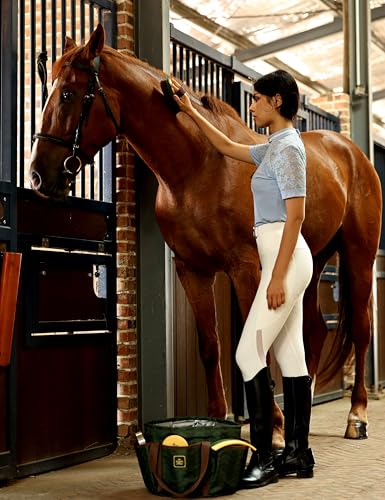 Horse Grooming Kit (Pasture Glow)
