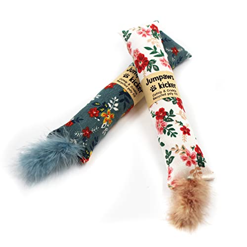 2 Pack Natural Interactive Catnip & Silvervine Cat Kicker with Feathers