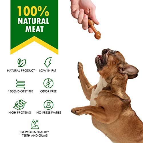 Dog Treats Peanut Butter Bones with Cranberry & Rawhide Free Chew 10.6 Oz (10.6 Ounce (Pack of 1))