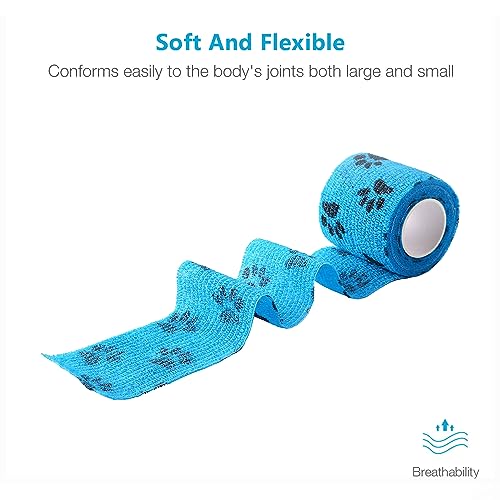 Pet Wrap Self (2 Inch (Pack of 6) / Pawprints A, 2 of Each Color)