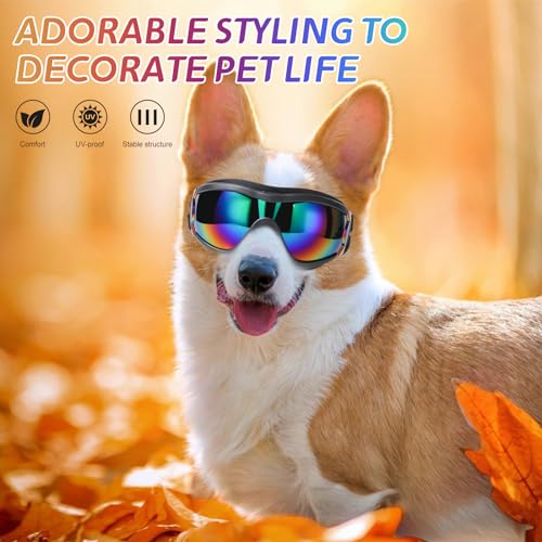 Dog Sunglasses Dog Goggles