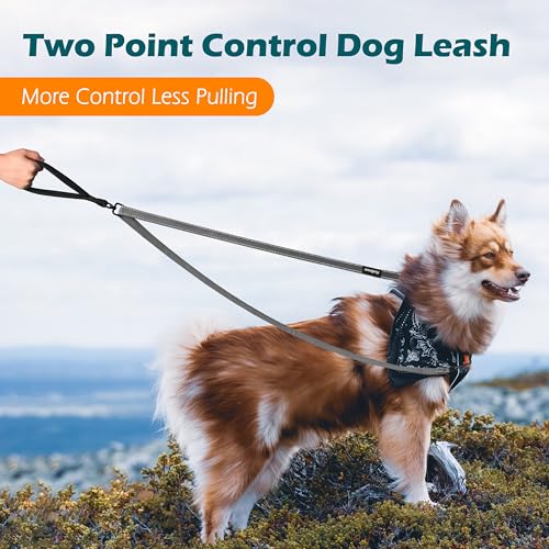 Two Point Control Dog Leash (Grey)