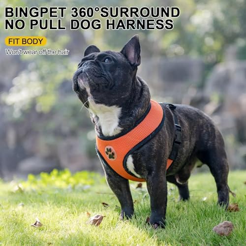 Small Dog Harness (XL (NECK: 20.5", CHEST: 20.5"-27") / Orange)