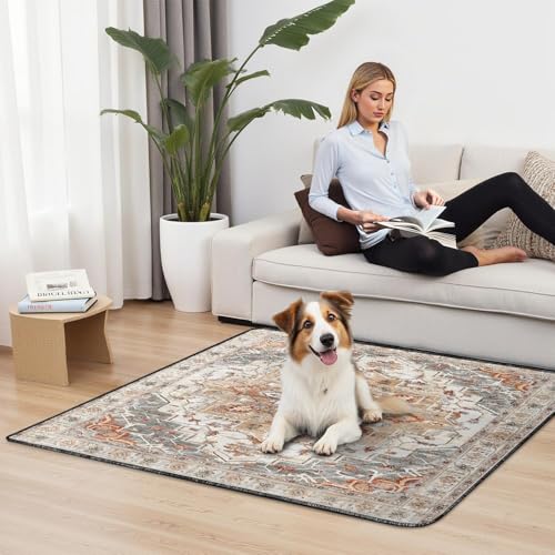 Washable Pee Pads for Dogs 2 Pack (48"x48"(2 Pack) / E Brown)