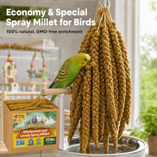 25 LB Wholesome Spray Millet for Birds (25 Pound (Pack of 1))