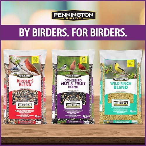 Songbird Nut & Fruit Blend Wild Bird Seed for Outside Feeders (10 lb)