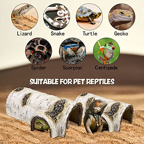Reptile Hide Caves Simulation Tree Hideout Snake Hide