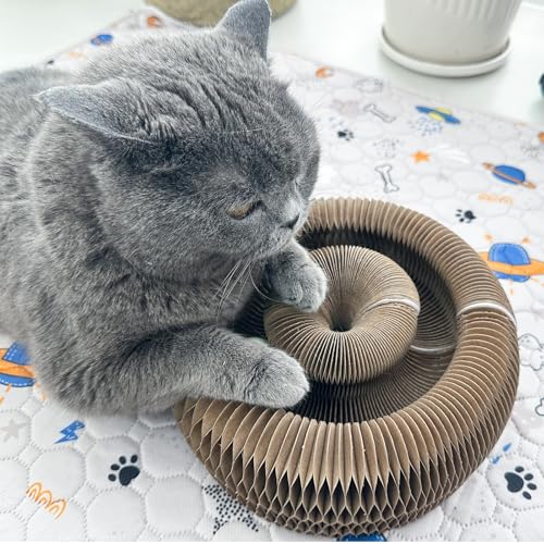 Interactive Scratching Board for Playful Kitties Magic Accordion Cat Scratching Post (1 Pack Round)
