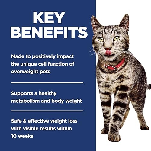 Adult Perfect Weight Dry Cat Food (7 Pound (Pack of 1))